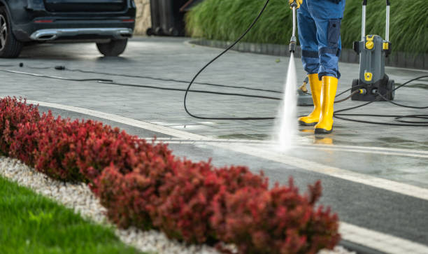 Best Driveway Pressure Washing  in Fort Myers, FL